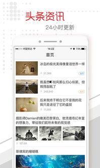 乌鲁木齐新闻头条榜,聚焦城市热点，洞察民生动态