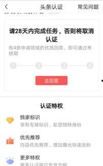为什么头条认证不过去,“头条认证屡次受阻？揭秘认证失败背后的原因与解决策略”