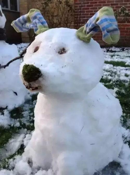 带你吃瓜之野生雪人,揭秘神秘雪域生物的传奇故事