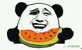 吃瓜群众瓜哥海盗来了,揭秘神秘海盗的传奇故事