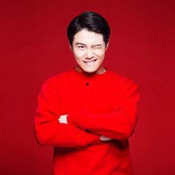 王野网红,从网络红人到影响力领袖的蜕变之路