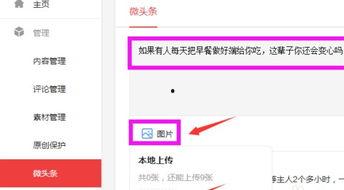 今日头条个人评论主页,洞察热点，畅谈观点，记录生活点滴