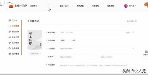 头条怎么当小说作者,小说作者养成攻略