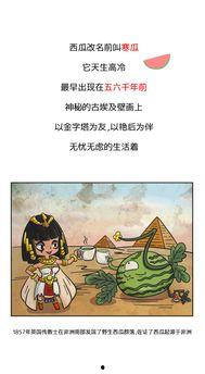 吃瓜群众哲理故事分享,从瓜田中领悟的人生智慧