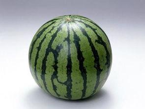 减肥可以吃丰田瓜嘛,减肥期间的理想瓜果选择