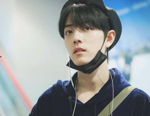 网红帝师ip,从网络红人到影响力巨擘的蜕变之路