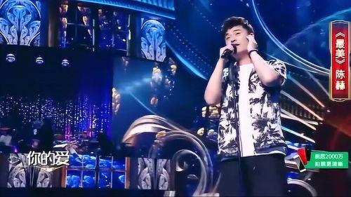 音乐大明星,大明星的璀璨人生