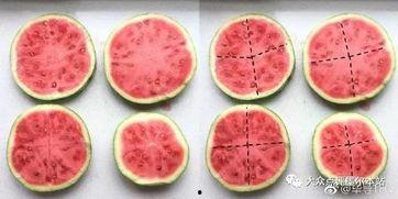 吃瓜墨尔本,吃瓜群众的美食之旅