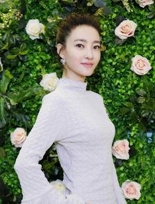 北舞毕业的男明星,北舞精英男明星的璀璨之路