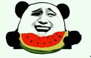 178吃瓜视频,揭秘娱乐圈幕后故事