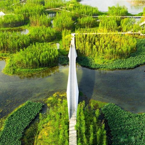 ct5网红打卡地点,探寻城市新地标的风采之旅