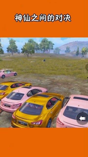 临沂网红玛莎的背景,从田间地头到网络红人的蜕变之路