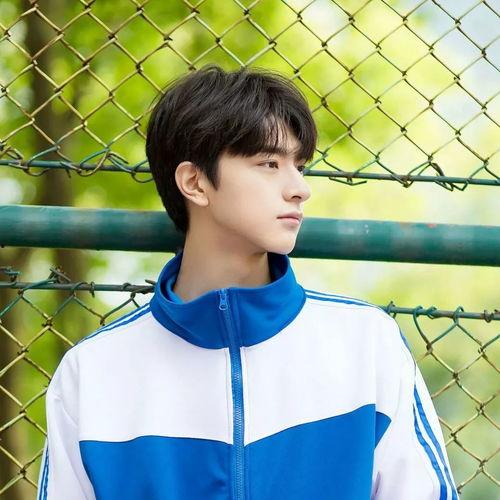 清新的头像明星,明星头像背后的魅力解析”