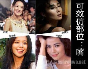 标准的仰月唇女明星,美丽与魅力的独特演绎