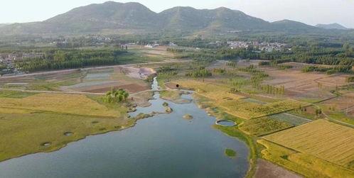 平邑的网红,探寻这座山东小城的网络魅力