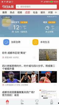 头条怎么去掉自己的粉丝,教你如何巧妙移除头条粉丝