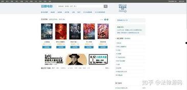 好料播怎么看评论数据