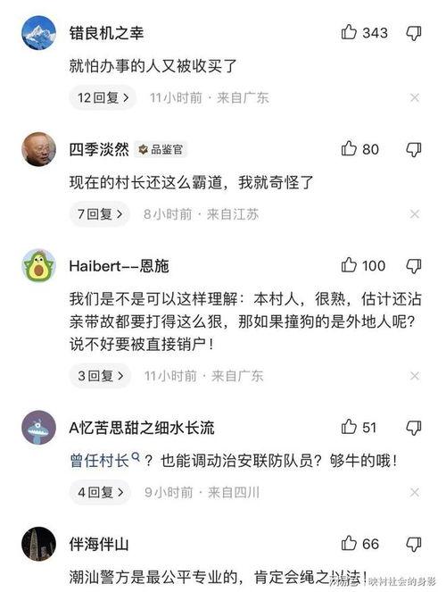 爆料被撞博主怎么办啊视频