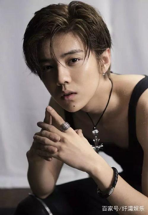 明星版鹿晗,明星版偶像的璀璨人生