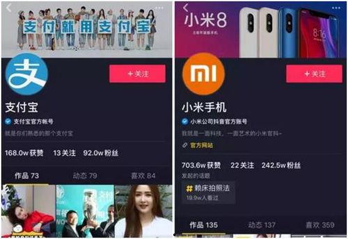抖音平台微头条怎么赚钱,揭秘如何通过内容创作轻松赚钱