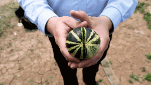 济宁市吃瓜,品味民俗风情