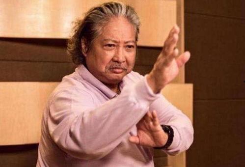 功夫明星洪金宝