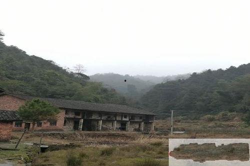 潞水镇红网,红网映照下的乡村振兴新篇章