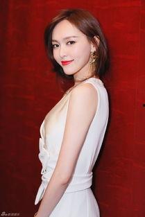 陈爱华爆料前妻视频大全,揭秘背后真相与争议