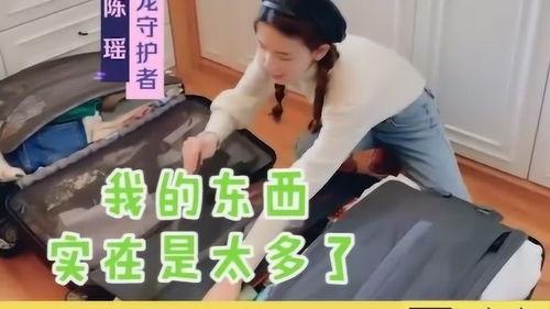 明星行李箱内物品,奢华与实用的完美融合