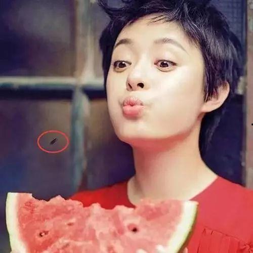 孙俪吃瓜表情,表情包界的“新宠”