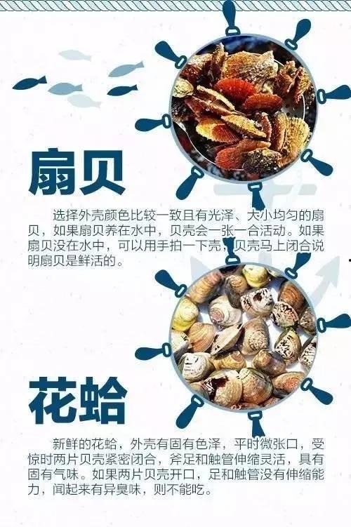 怎样在头条买海鲜吃,头条平台海鲜选购与美味享用指南