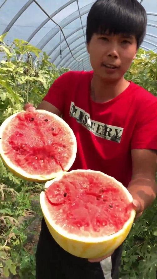 带你吃瓜老年人,吃瓜时代的老年人生